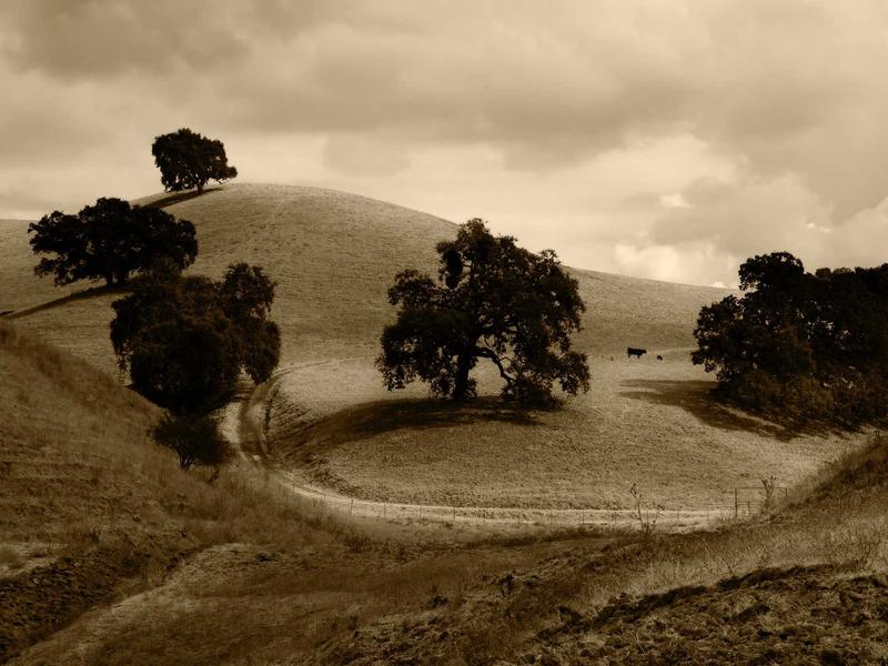 sudoku greater than screenshot 6